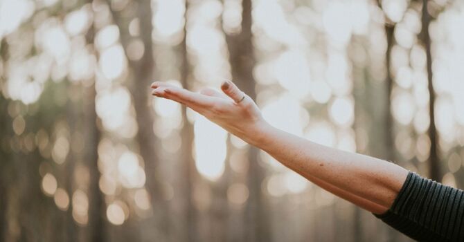 Sports Massage Therapy